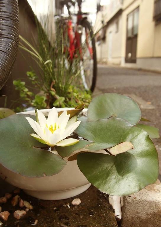 Love Kyoto Kyoenkan חדר תמונה